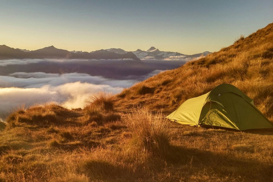 Als Au Pair in Neuseeland wirst Du atemberaubende Natur und faszinierende Tierwelt erleben.